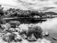 Lough Conn